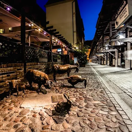 波兰珍品酒店&度假村 酒店 4*