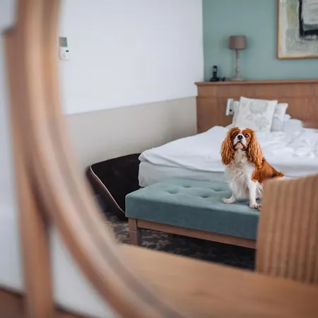 波兰珍品酒店&度假村 酒店 4*