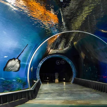 波兰珍品酒店&度假村 酒店