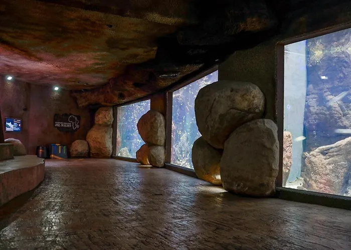 아트 브로츠와프